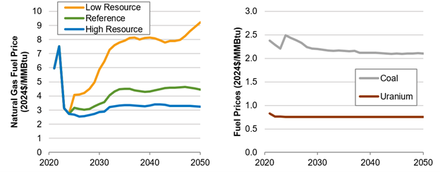 _images/input-fuel-price-assumptions.png